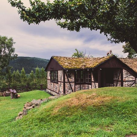 Willa Z Gwarantowanym Widokiem Na Gory Aleksander Panorama Świeradów-Zdrój Buitenkant foto