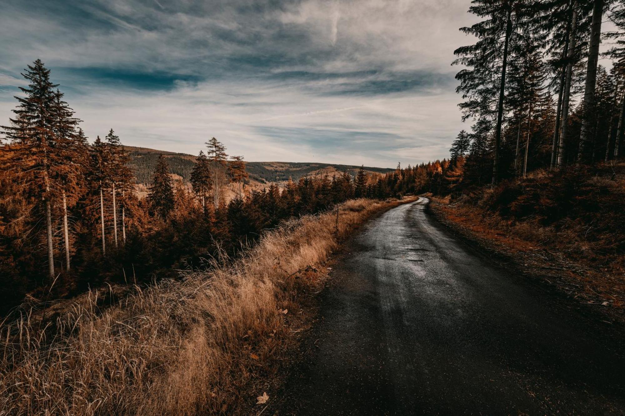 Willa Z Gwarantowanym Widokiem Na Gory Aleksander Panorama Świeradów-Zdrój Buitenkant foto