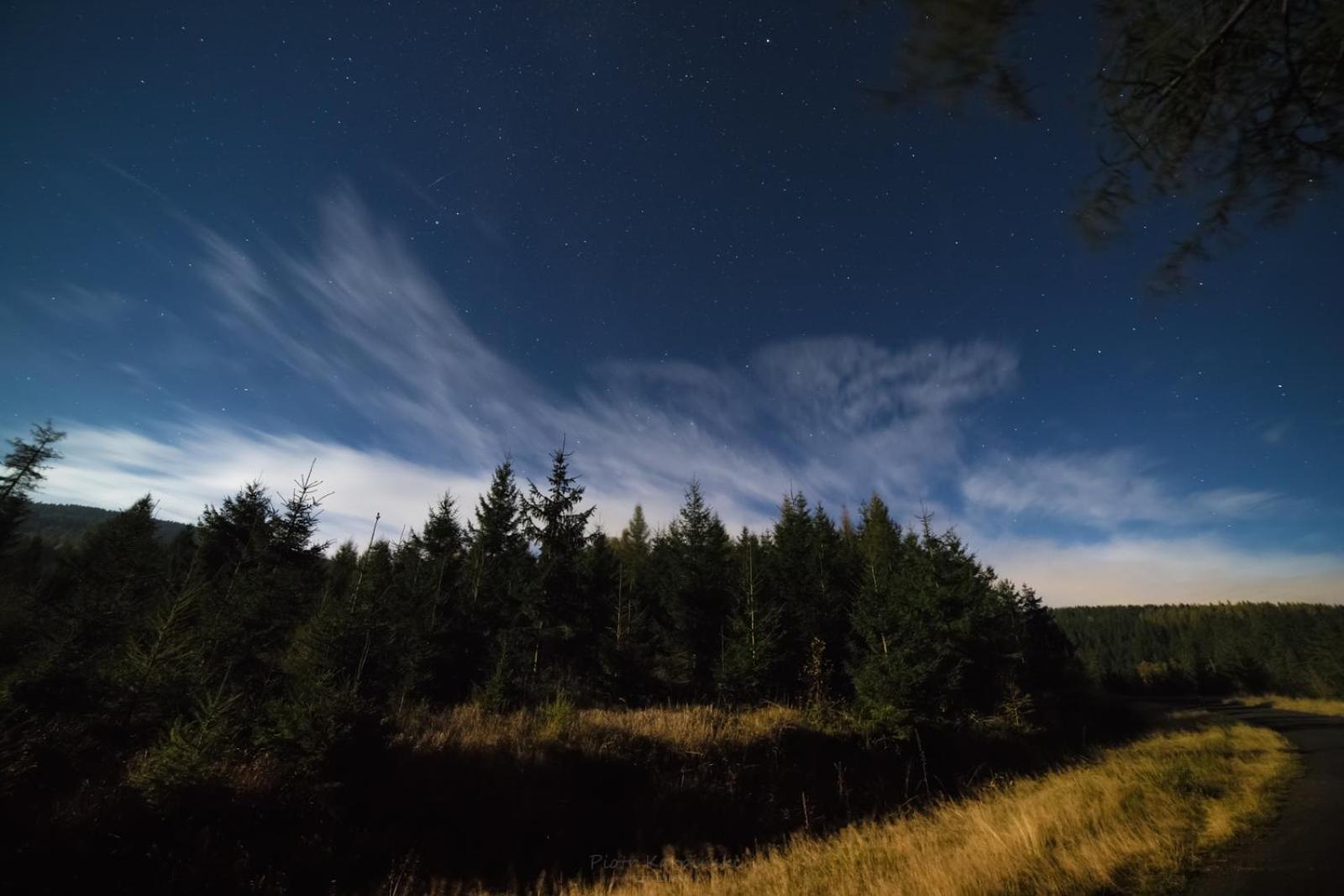 Willa Z Gwarantowanym Widokiem Na Gory Aleksander Panorama Świeradów-Zdrój Buitenkant foto