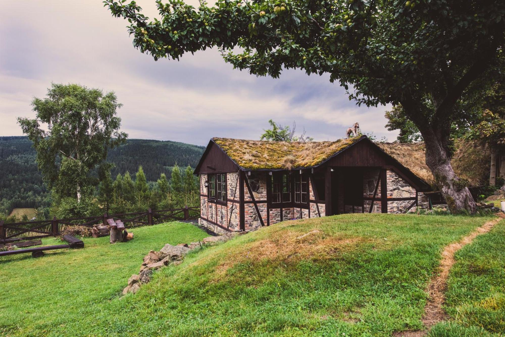 Willa Z Gwarantowanym Widokiem Na Gory Aleksander Panorama Świeradów-Zdrój Buitenkant foto