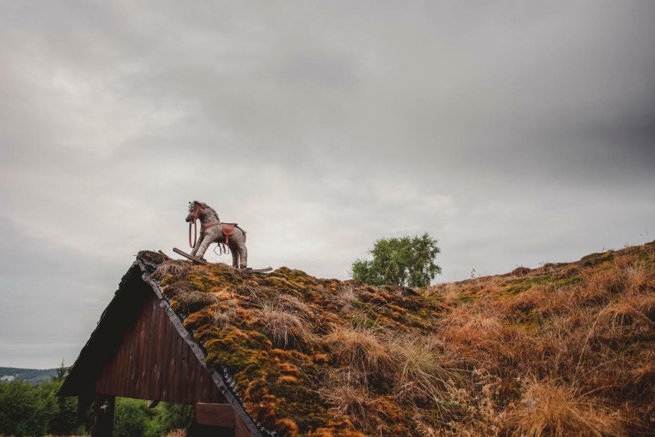 Willa Z Gwarantowanym Widokiem Na Gory Aleksander Panorama Świeradów-Zdrój Buitenkant foto